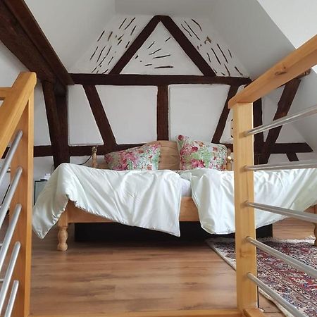 Rheingau - Schoene Moeblierte Ferienwohnung Eltville am Rhein Ngoại thất bức ảnh